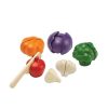 PlanToys 5-Farben-Gemuse-Set | Kuche